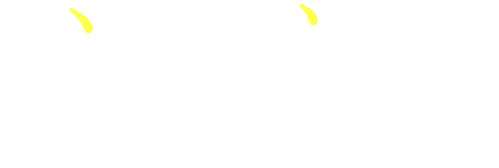 犬の学校 / 南大阪警察犬・愛犬訓練所